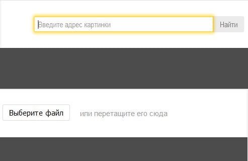 Yandex에서 이미지를 검색 할 방법