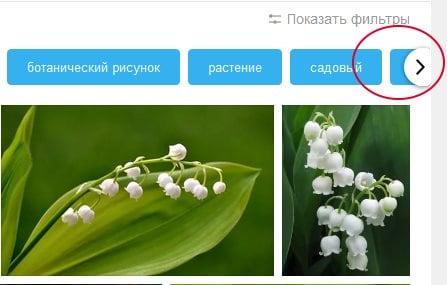 Yandex에서 다른 필터를 표시하려면 화살표