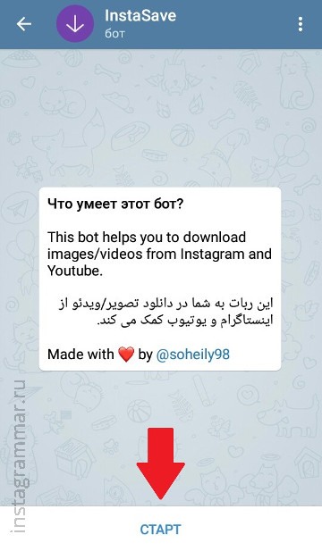 익명으로 Instagram 이야기보기-Telegram bot