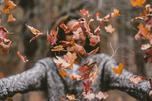 인스 타 그램에 대한 가을 사진 아이디어-소녀가 숲에서 나뭇잎을 던졌습니다