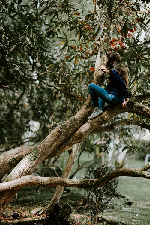 인스 타 그램을위한 가을 사진 아이디어-나무 위의 소녀