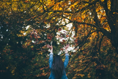 Instagram에 대한 가을 사진 아이디어-숲에 나뭇잎을 던졌습니다