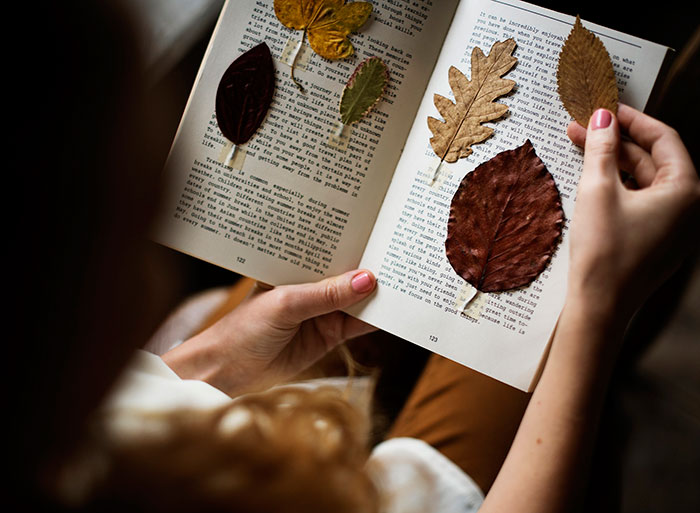 Instagram의 가을 사진 아이디어-책의 마른 잎